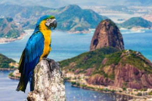 Croisière Norwegian Cruise Line - Rio De Janeiro - Buenos Aires