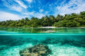 Croisière Ponant - Seychelles et atoll d'Aldabra